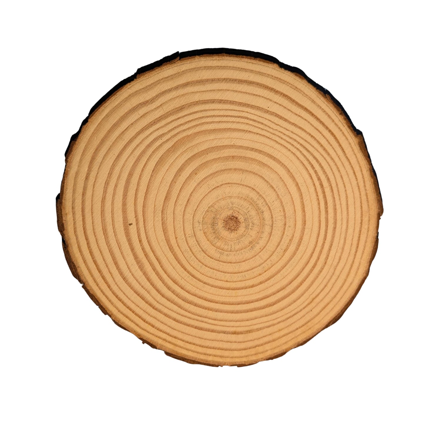 Rustic Log Drink Coaster